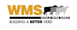 WMS-logo-copy-300x117